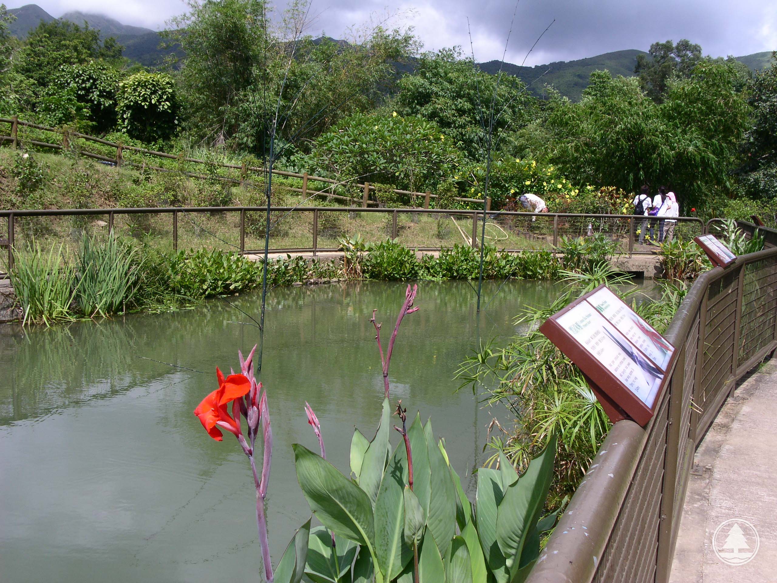 Dragonfly Pond of the Lions Nature Education Centre