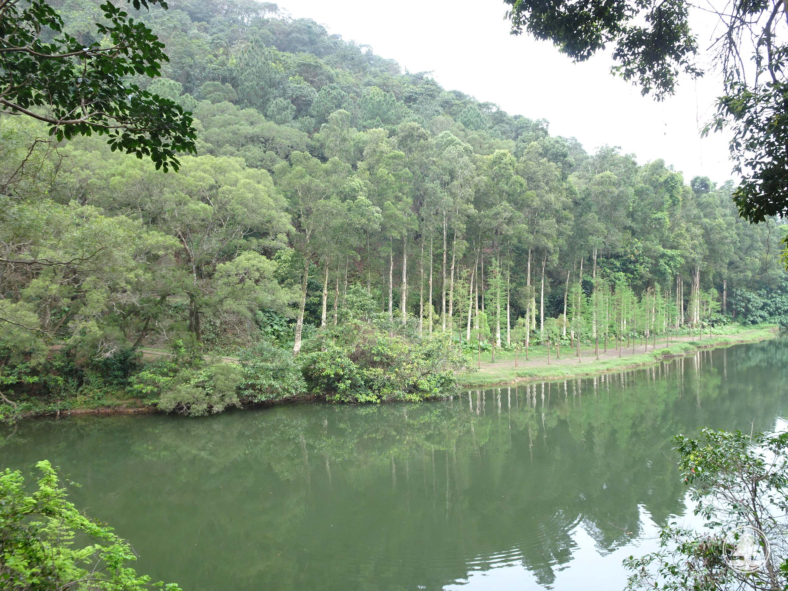 Lau Shui Heung Reservoir