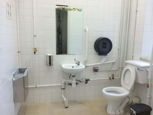 Accessible Toilet