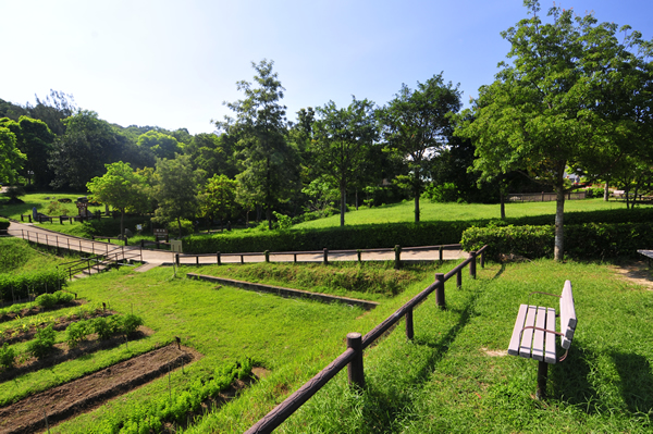 Lions Nature Education Centre