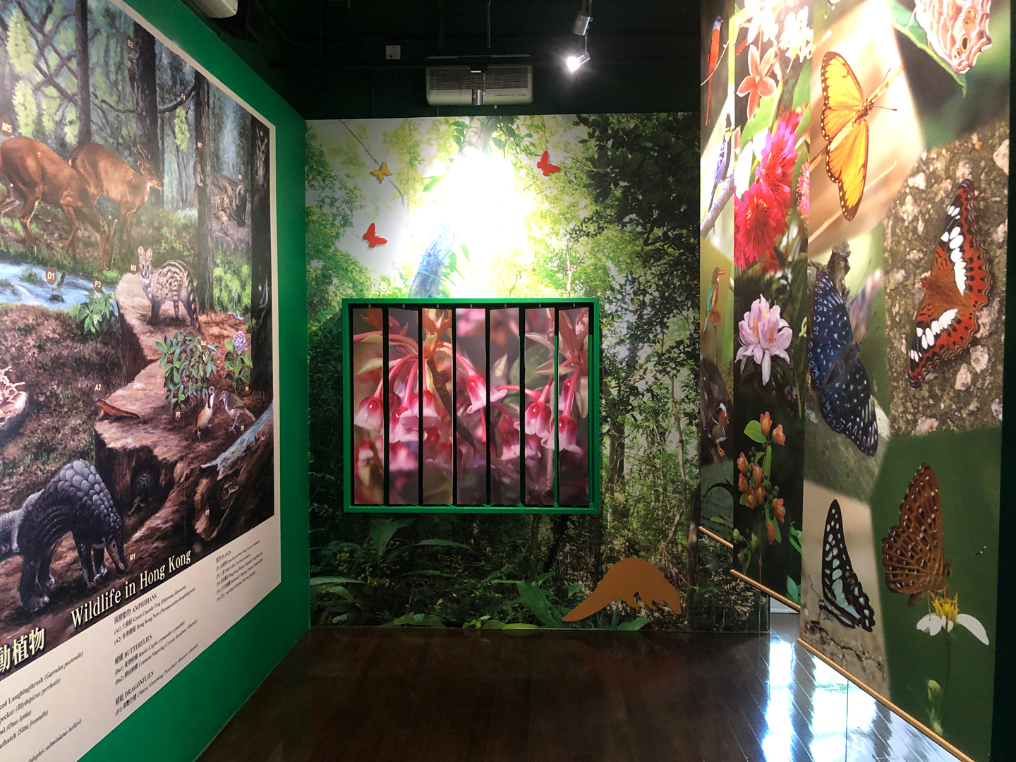 The exhibition panel inside Woodside Biodiversity Education Centre