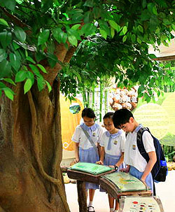 Aberdeen Tree Centre