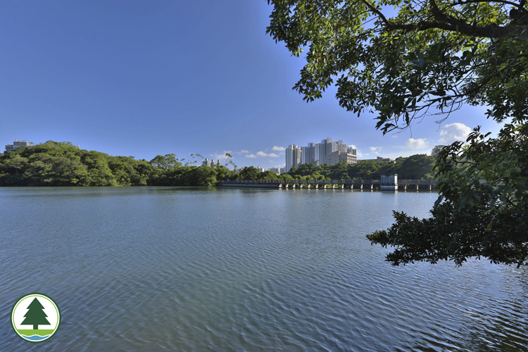 Aberdeen Lower Reservoir