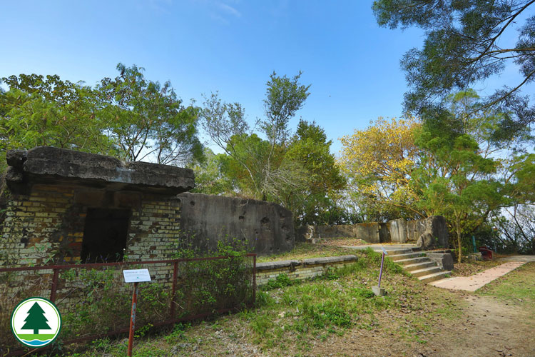 Pinewood Battery
