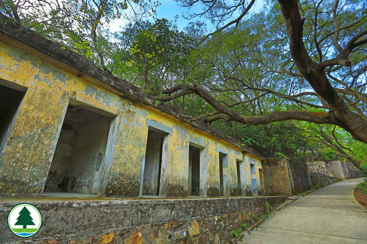 The Relics of Pinewood Battery