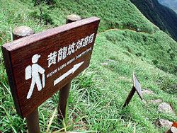 Wong Lung Hang Country Trail