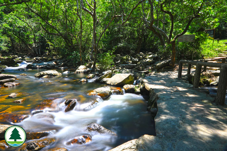 Bride's Pool Nature Trail