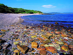 Tung Ping Chau