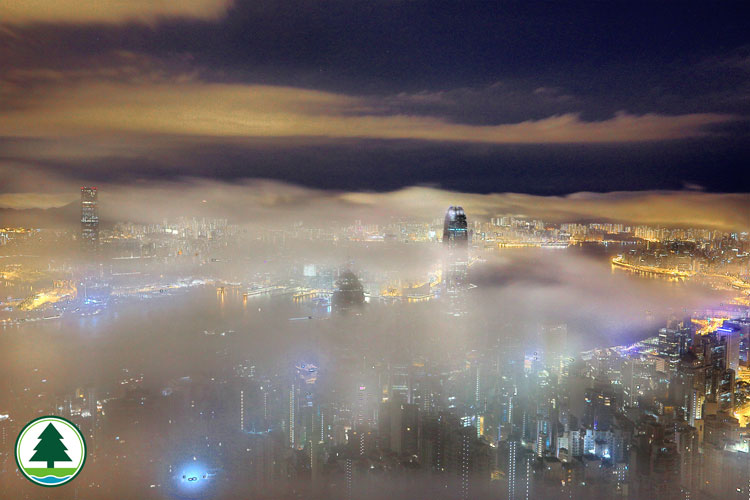 Foggy Night Scenery of Victoria Harbour