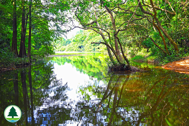 Lau Shui Heung Country Trail