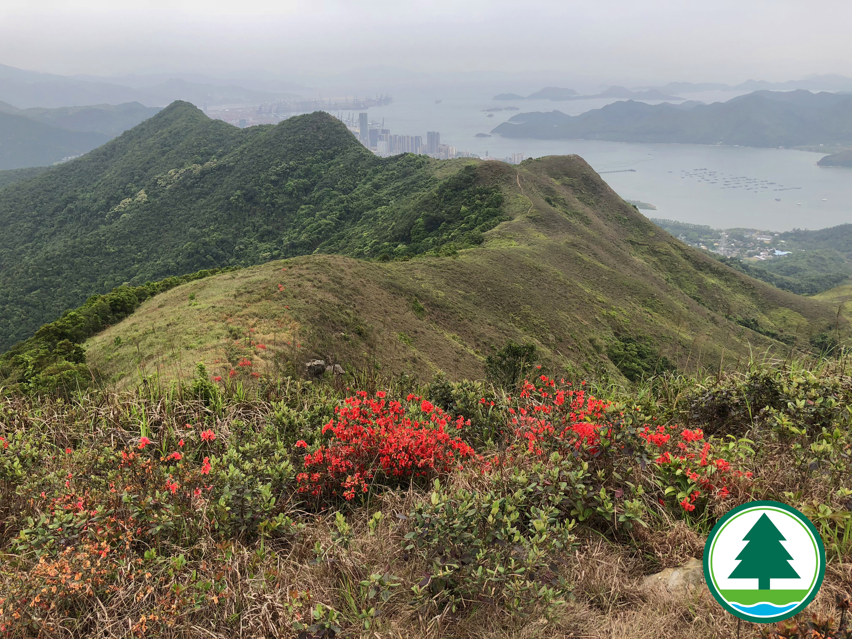 Overlooking undulating ridges on Hung Fa Chai