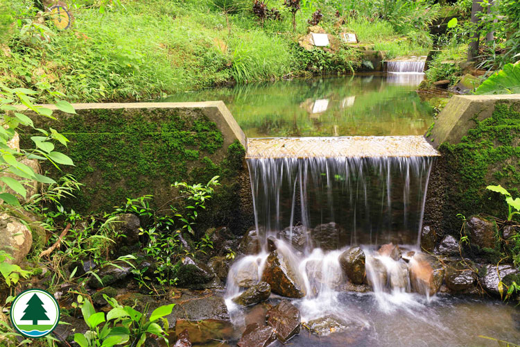 Twisk Nature Trail