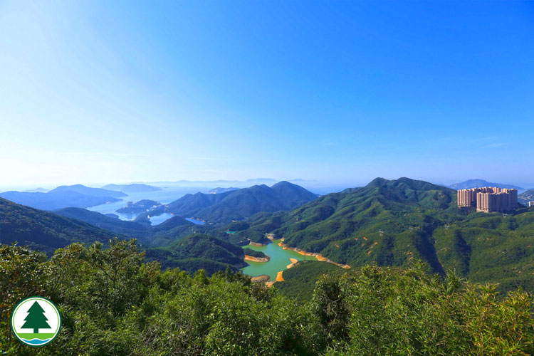 Overlooking Tai Tam Reservoir from Hong Kong Trail Section 5