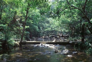 Fresh Water Habitat