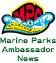 enter ambassador news