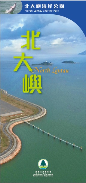 NLMP leaflet