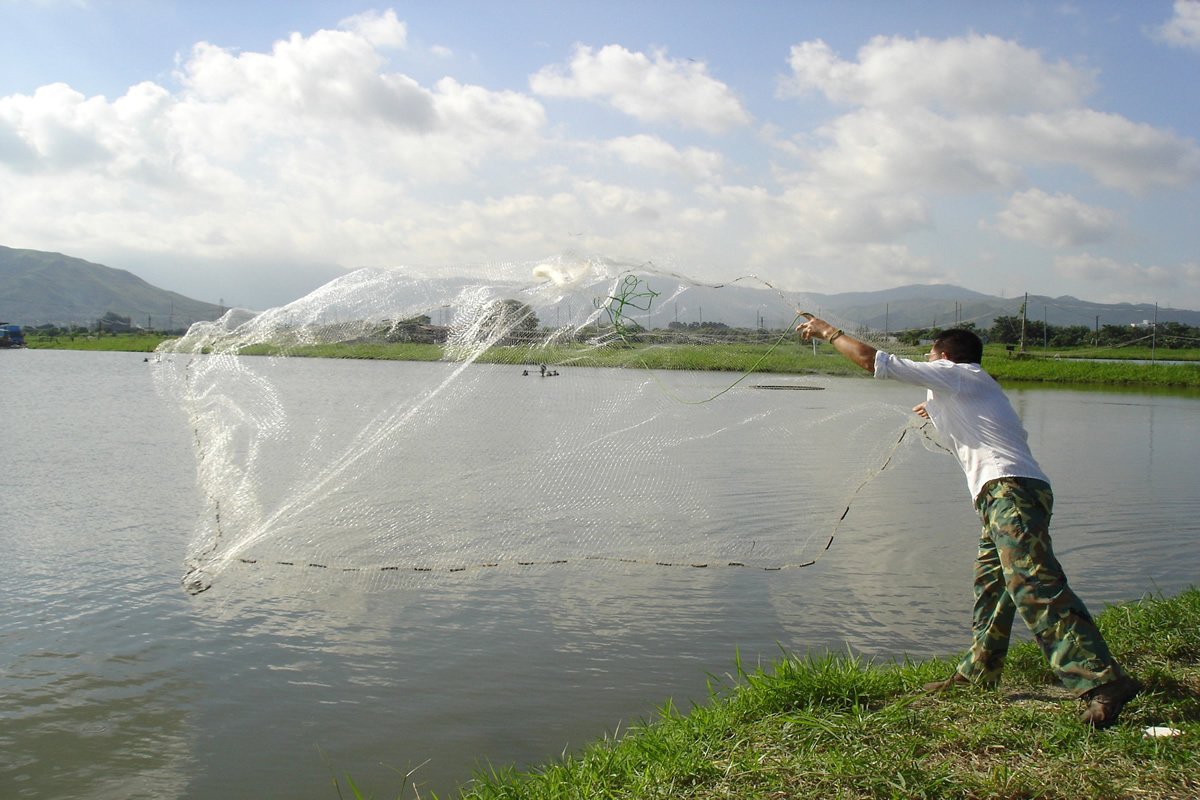 Organising activities related to fisheries education