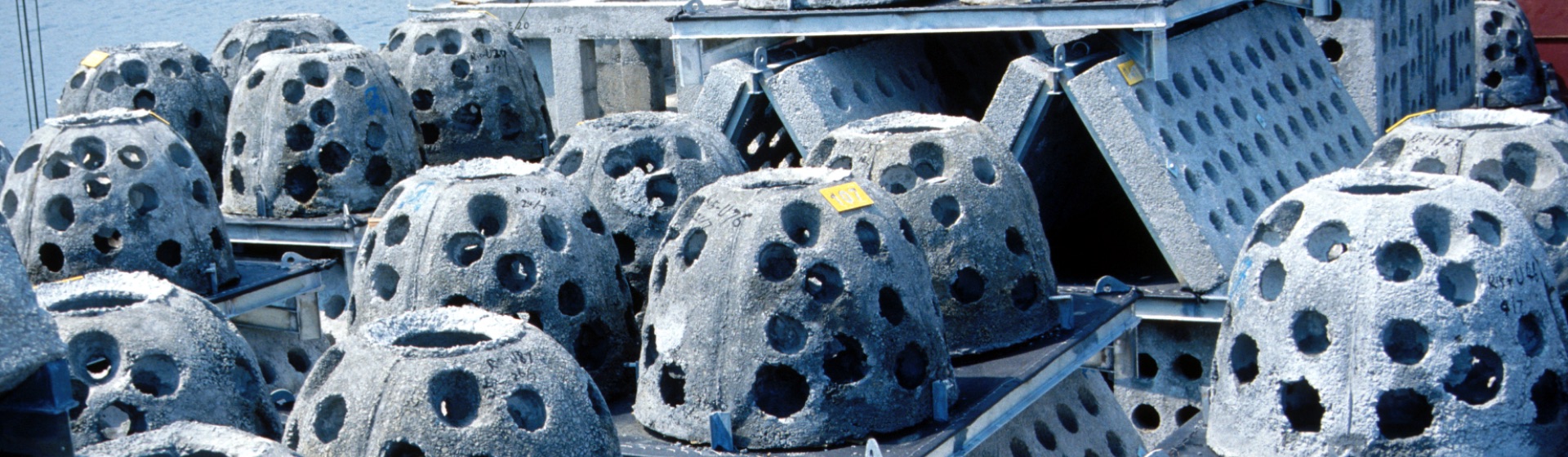 Types of Artificial Reef