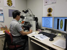 Microscopic identification of plankton species