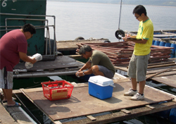 Sampling at fish culture zone