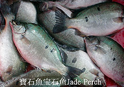 Jade Perch