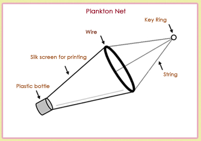 Fig. 1 Plankton Net Structure