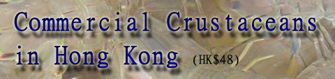 Commercial Crustaceans in Hong Kong (HK$48)