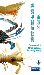 Commercial Crustaceans in Hong Kong