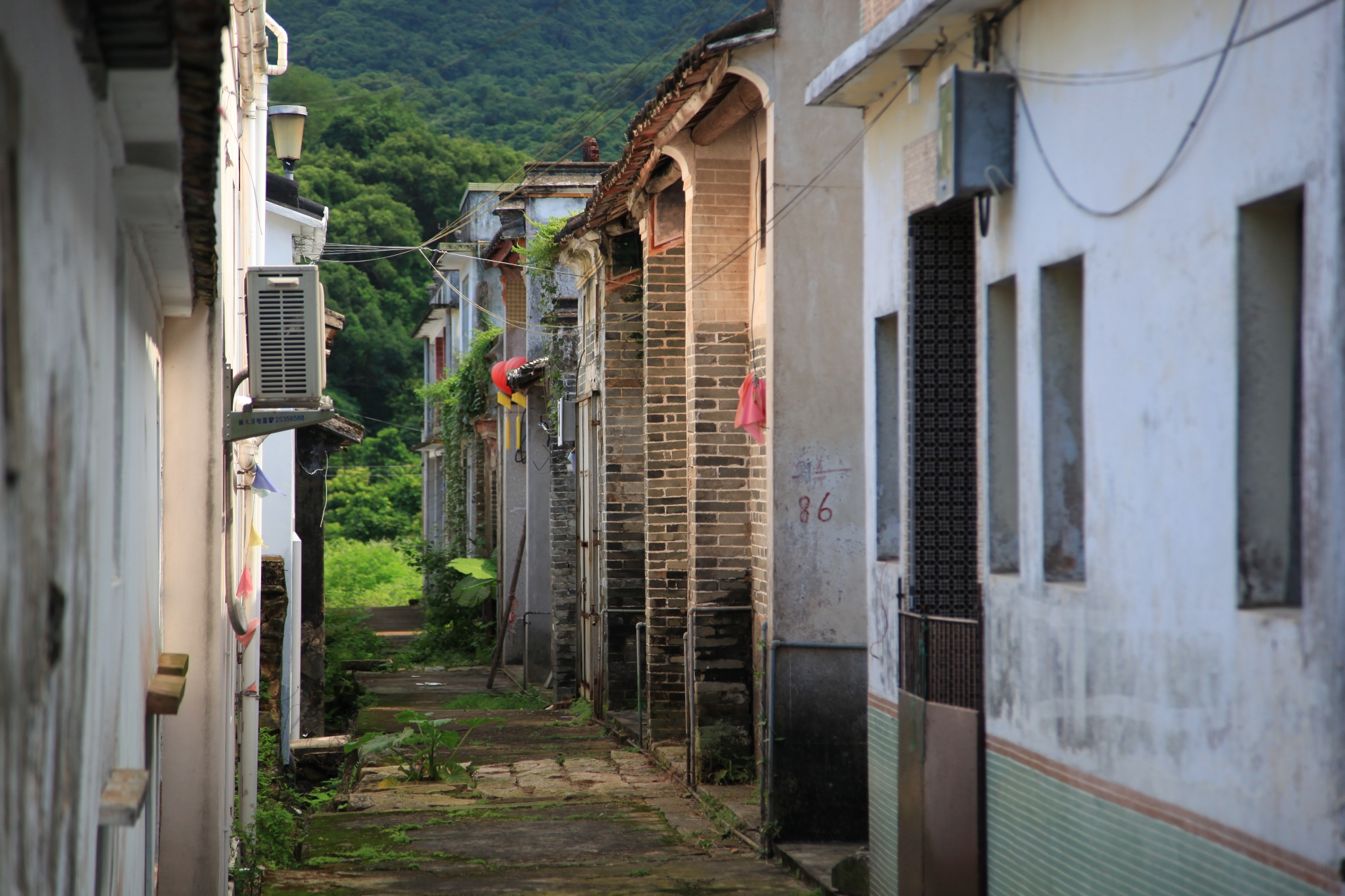 AFCD launches Hing Chun Alliance Heritage Trail (2)
