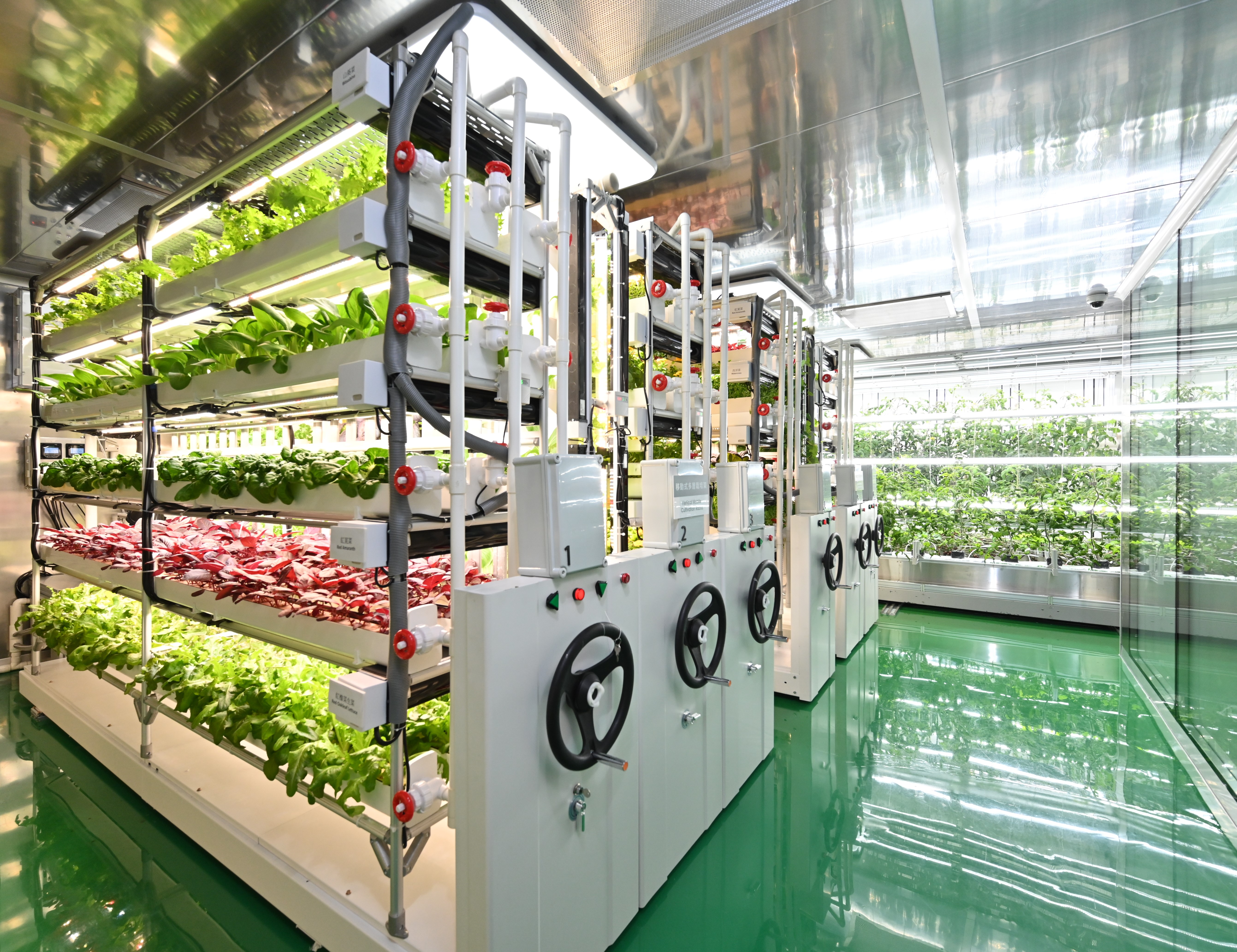Phase 2 of Controlled Environment Hydroponic Research and Development Centre comes into operation (1)