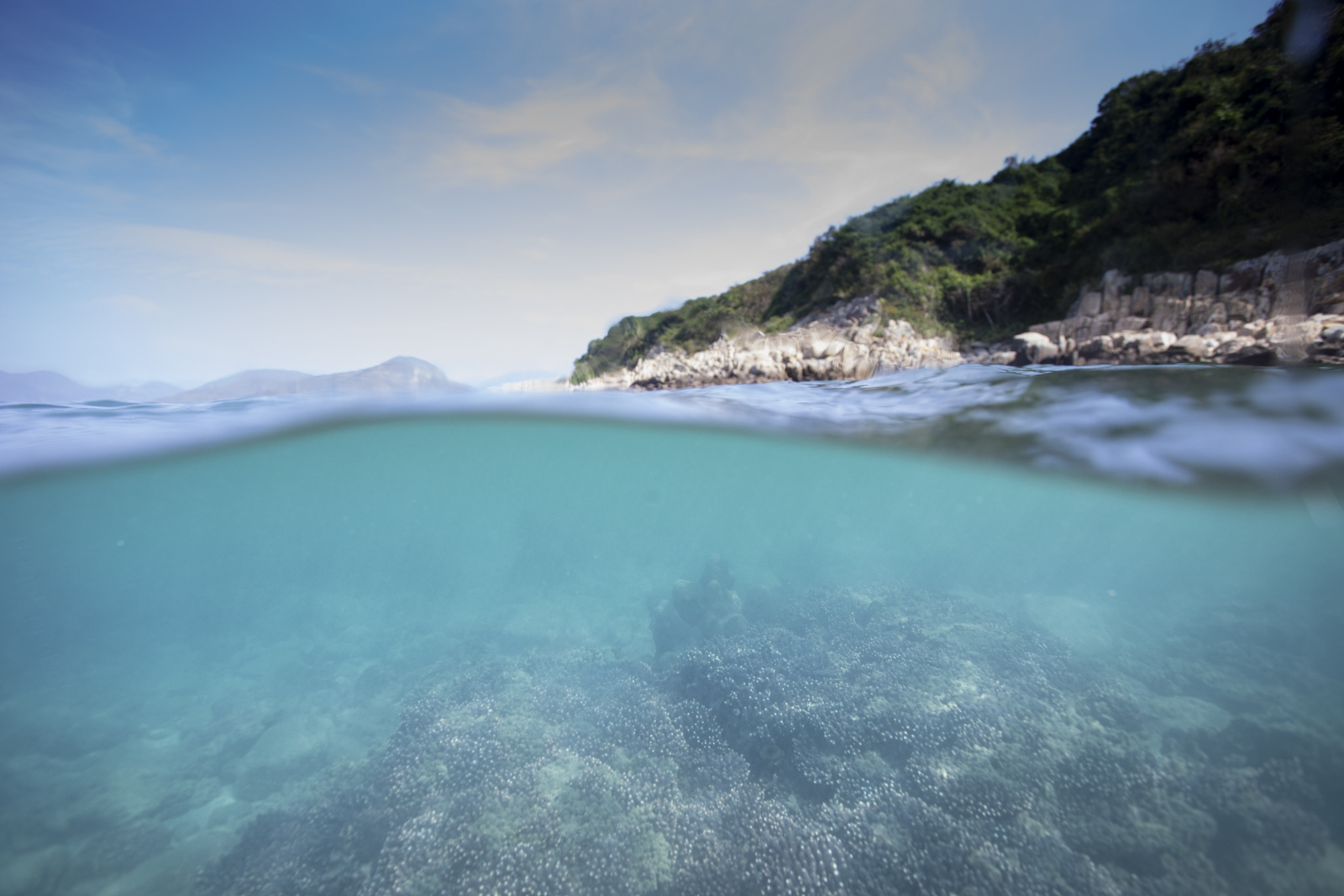 The Agriculture, Fisheries and Conservation Department announced today (December 10) that the results of the Hong Kong Reef Check this year showed that local corals are generally in a healthy condition and that the species diversity remains on the high side. Photo shows coral communities at Bluff Island.