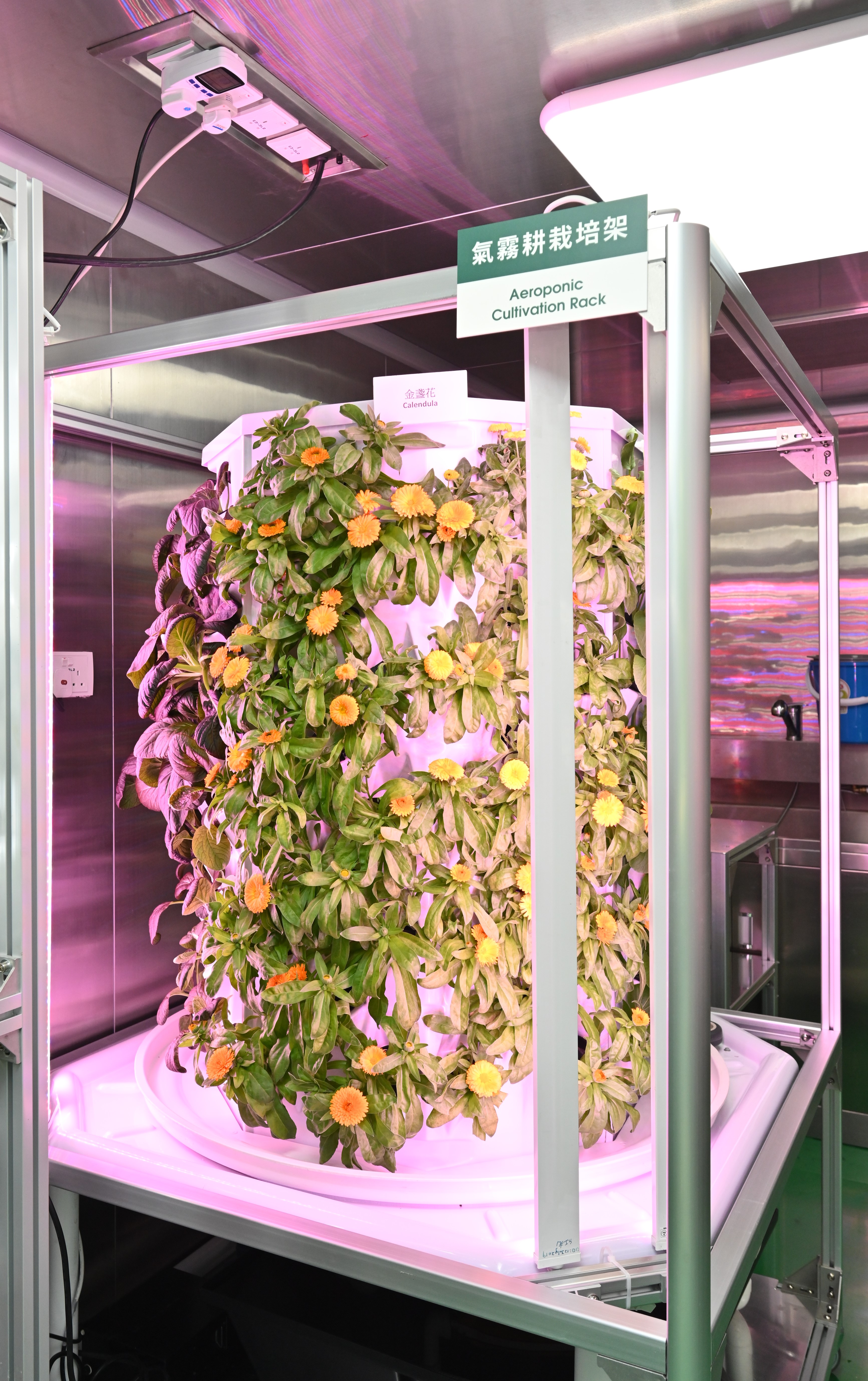 Phase 2 of Controlled Environment Hydroponic Research and Development Centre comes into operation (2)