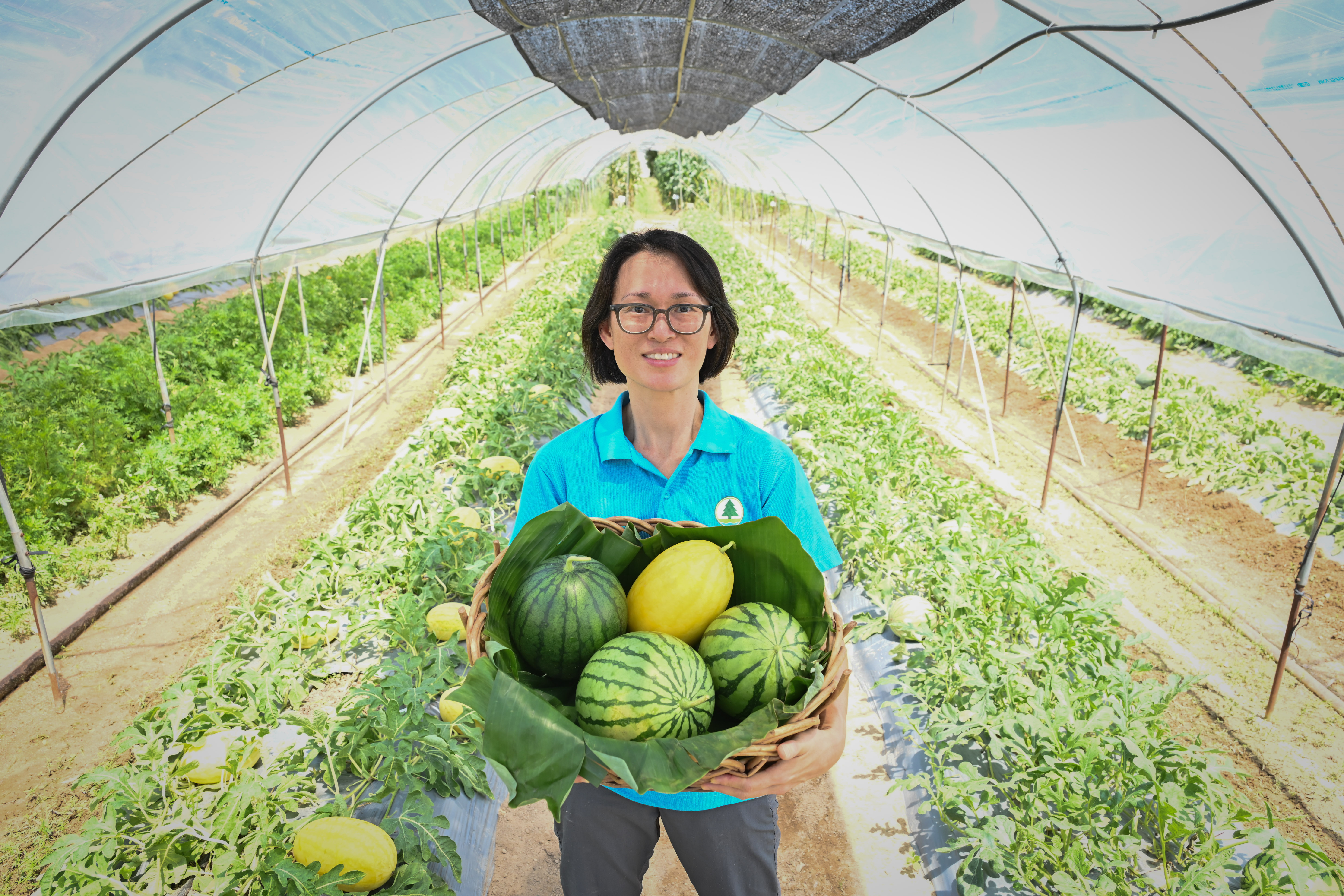 AFCD to hold first event of Happy Hong Kong - A and F Carnival: Local Organic Watermelon Festival (1)