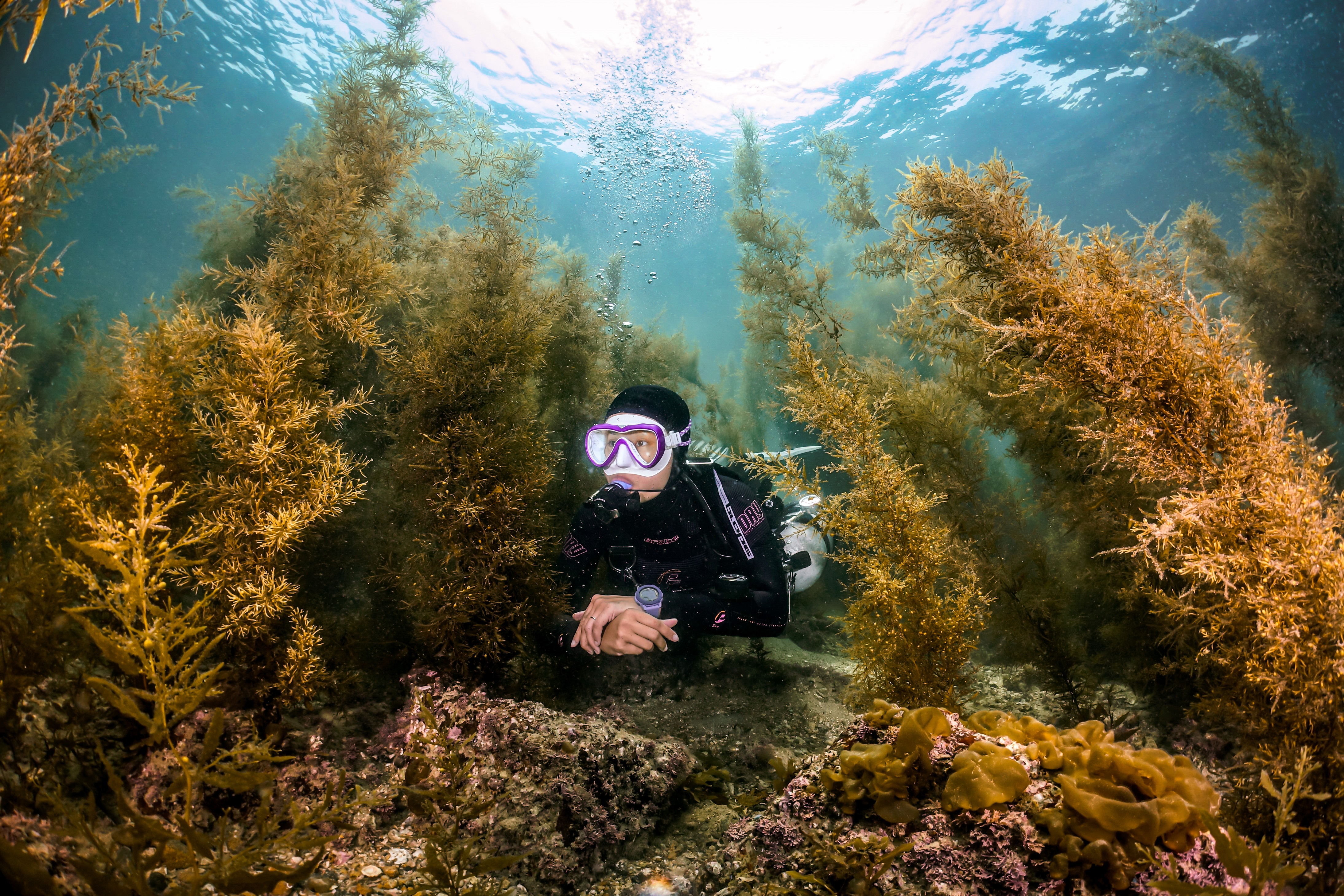Hong Kong Underwater Photo and Video Competition 2023 concludes successfully (7)