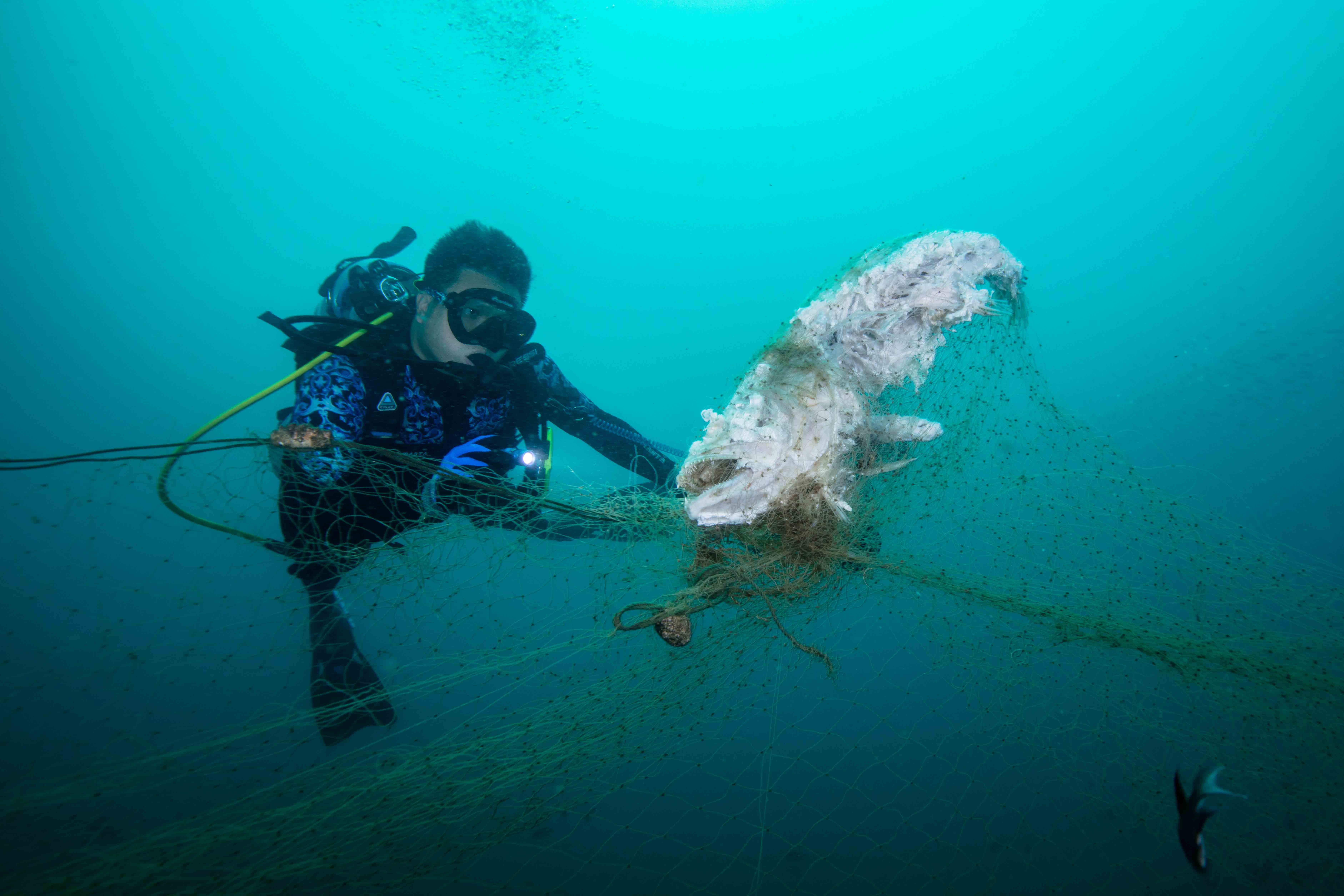 Hong Kong Underwater Photo and Video Competition 2023 concludes successfully (8)