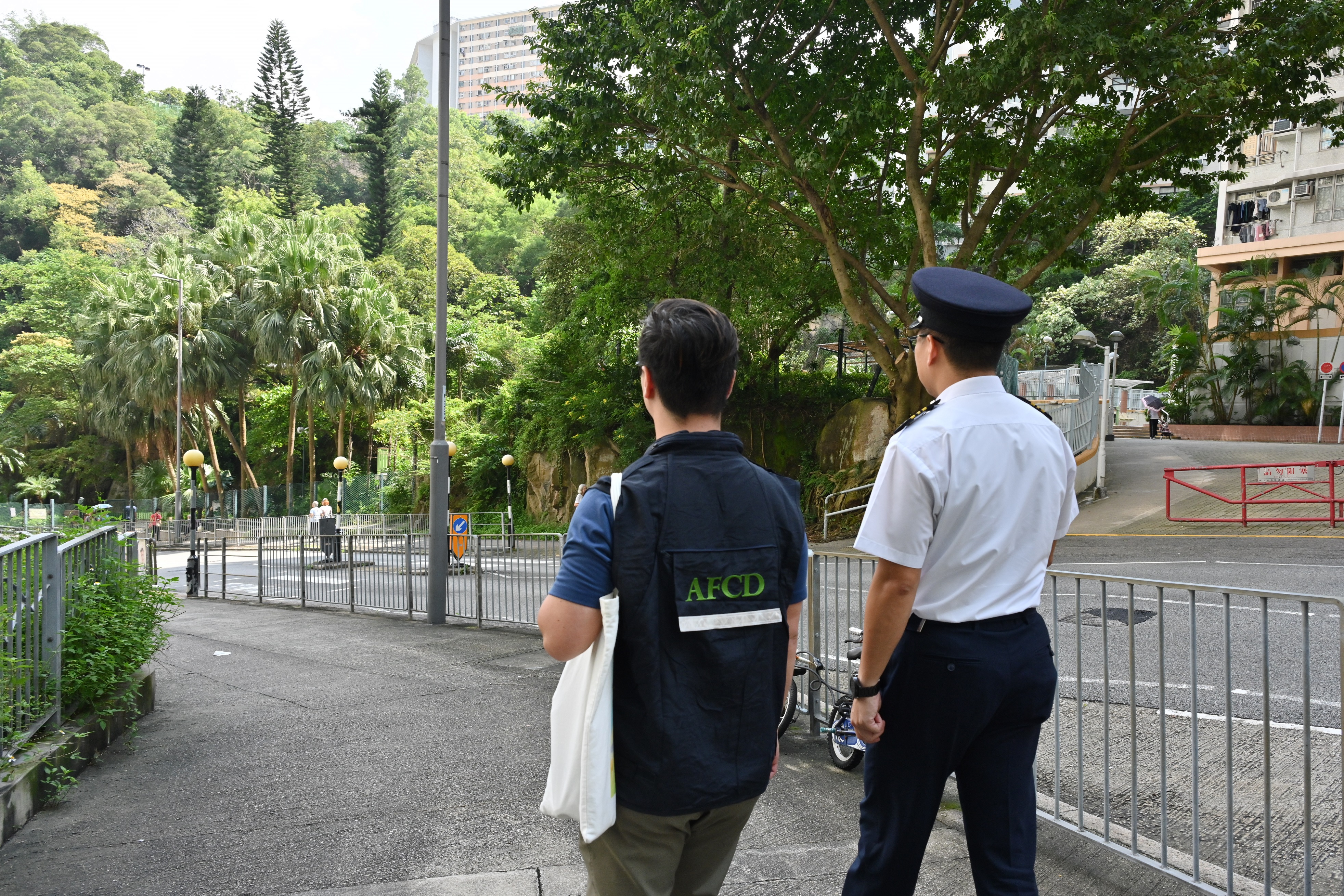 AFCD steps up enforcement to combat illegal feeding of wild animals and feral pigeons (2)