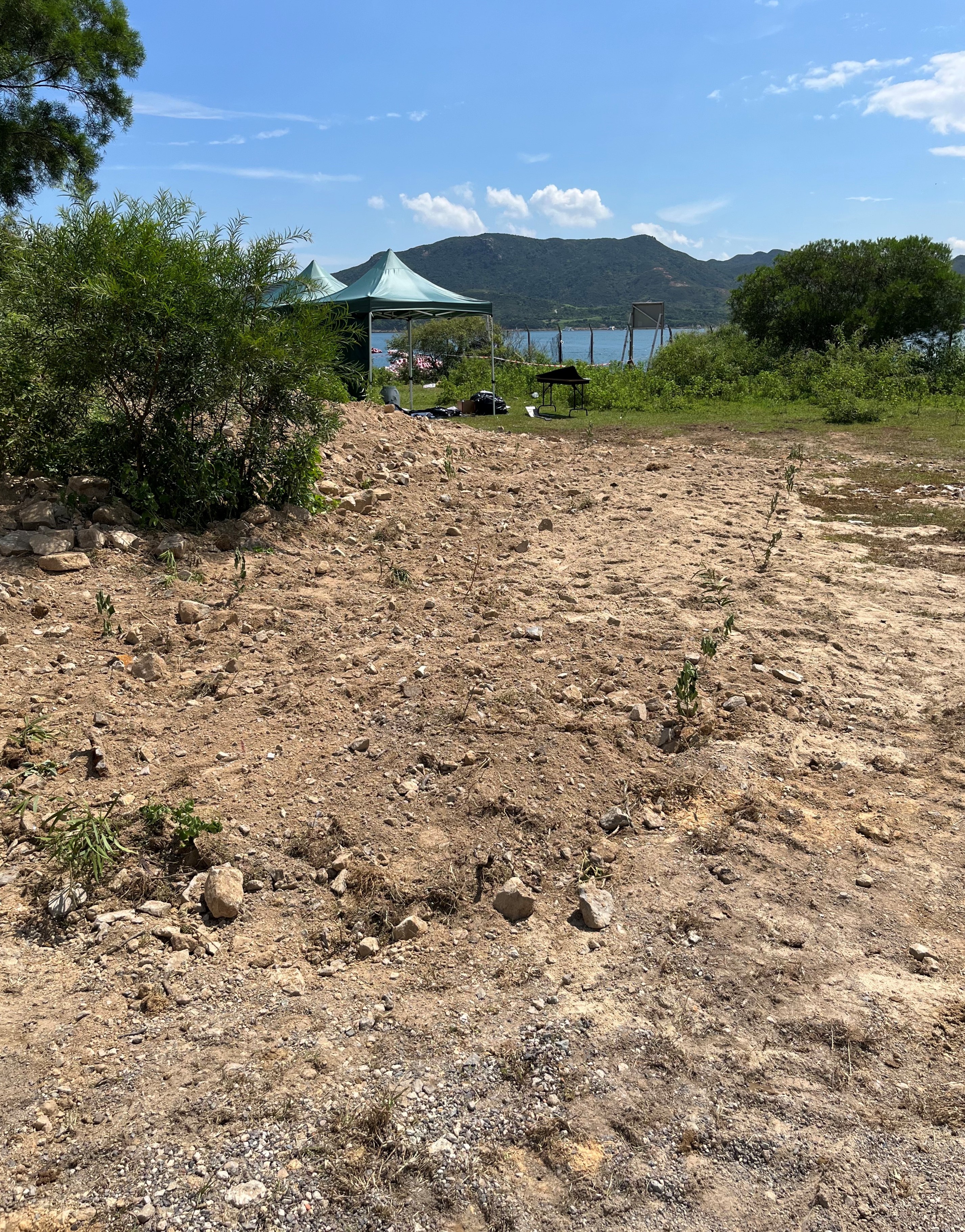 AFCD completes burying whale carcass for future scientific research and education purposes