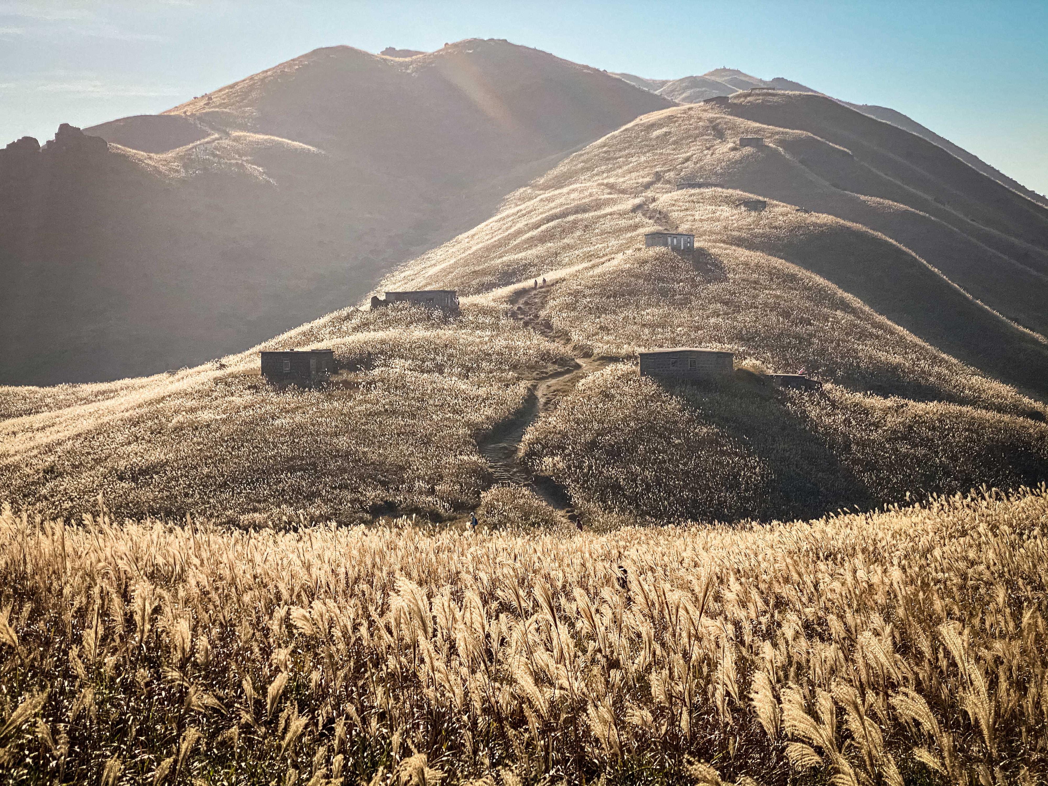 The Agriculture, Fisheries and Conservation Department announced the results of the Hong Kong Country Parks Photo cum Video Competition today (September 1). Photo shows "Golden Hill", the champion of the mobile landscape photography category, taken by Kwok Chun-hang.