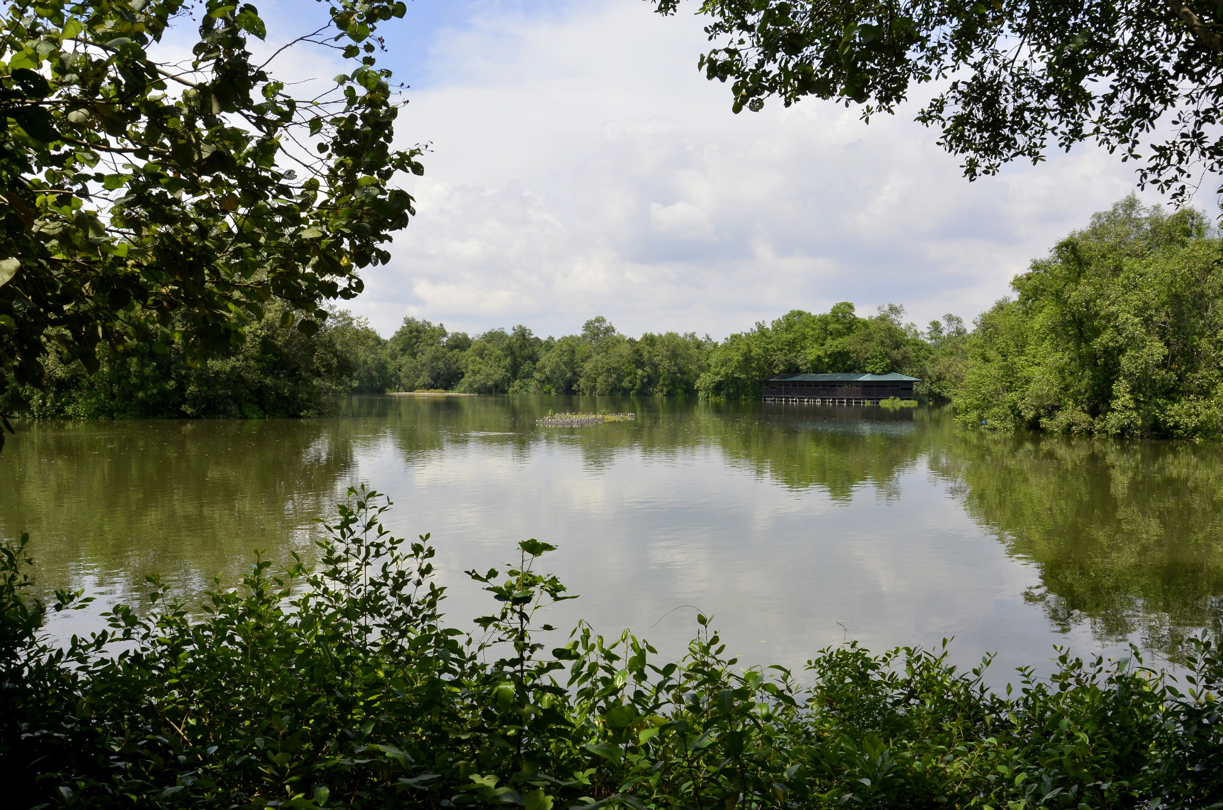 Mai Po Inner Deep Bay in Hong Kong and Sungei Buloh Wetland Reserve in Singapore established as Sister Sites (2)