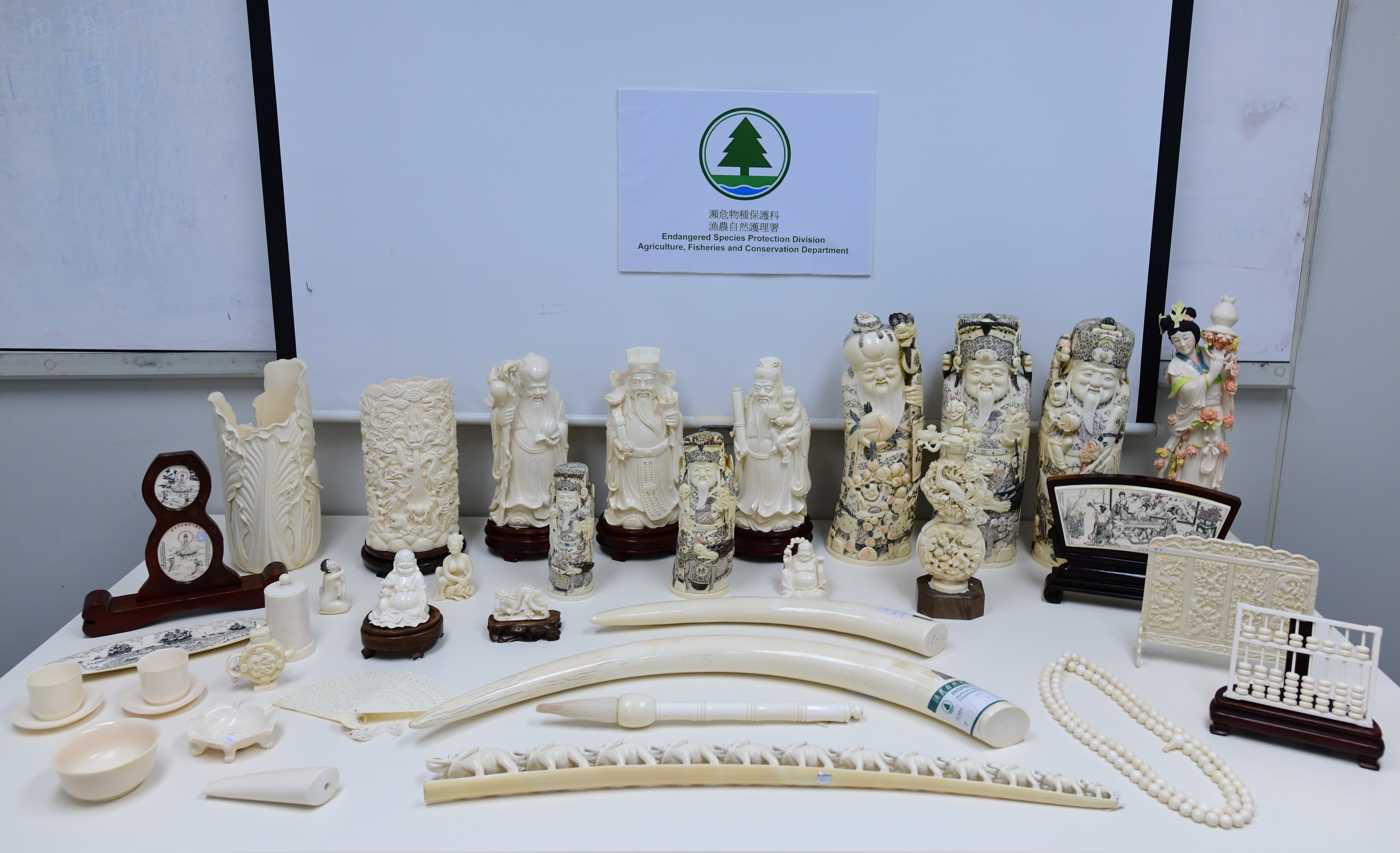 AFCD seizes 284 pieces of suspected ivory products