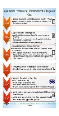 Application Procedure of Transshipment of Dogs and Cats