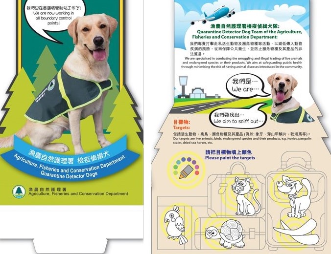 Quarantine Detector Dog Team