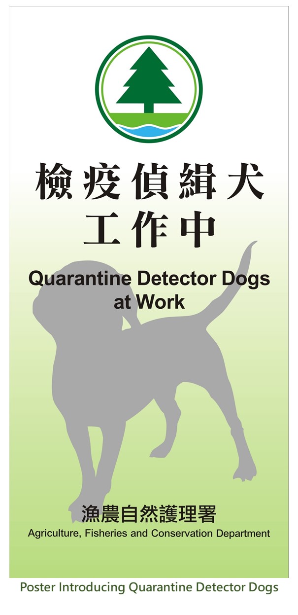 QDD Working Banner