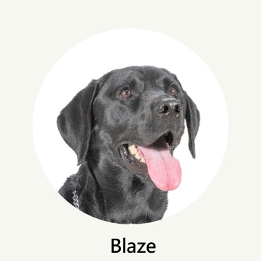Blaze Profile