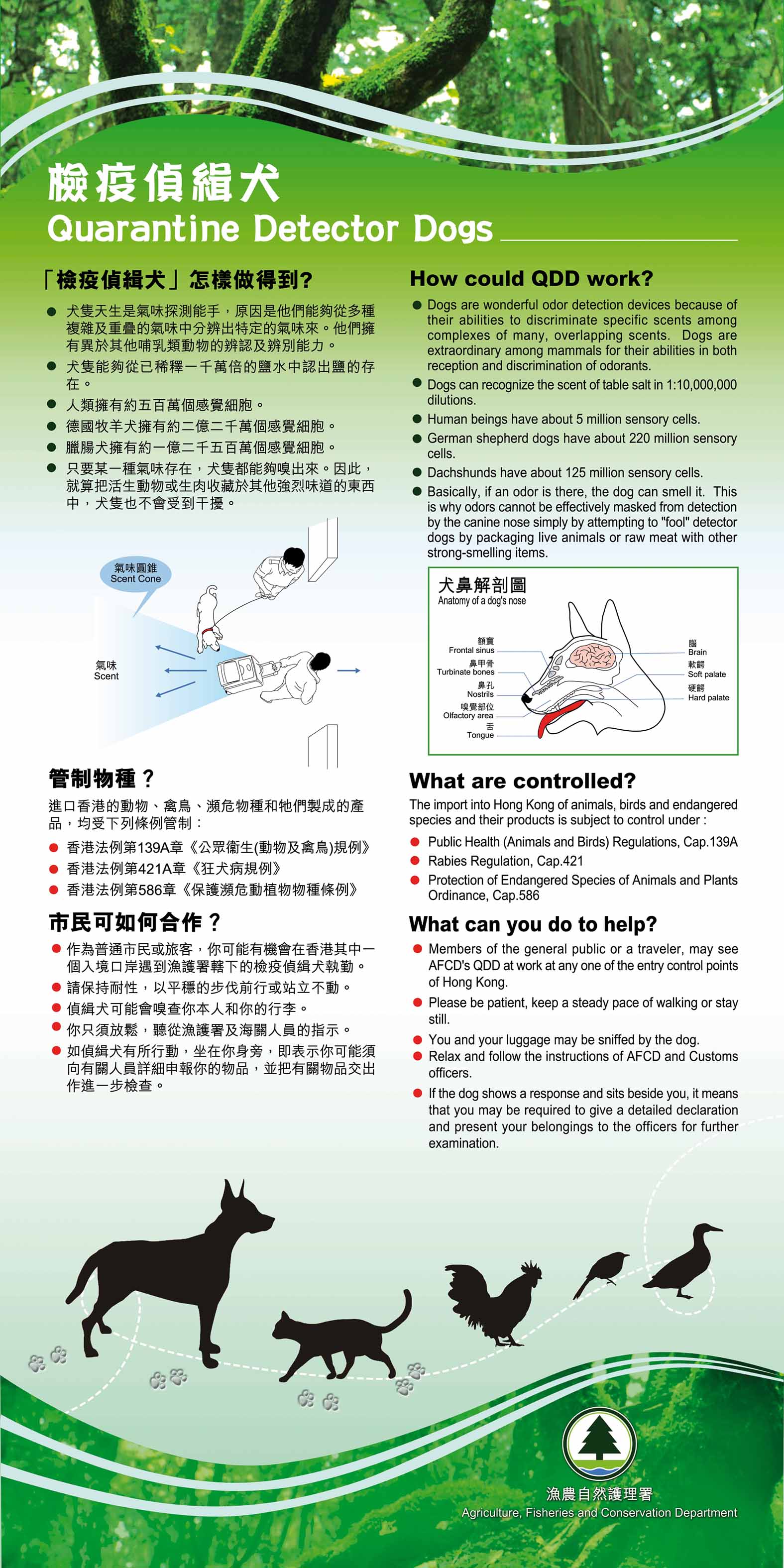 Quarantine Detector Dog Team