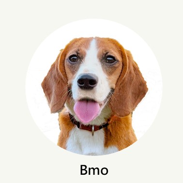 bmo_profile