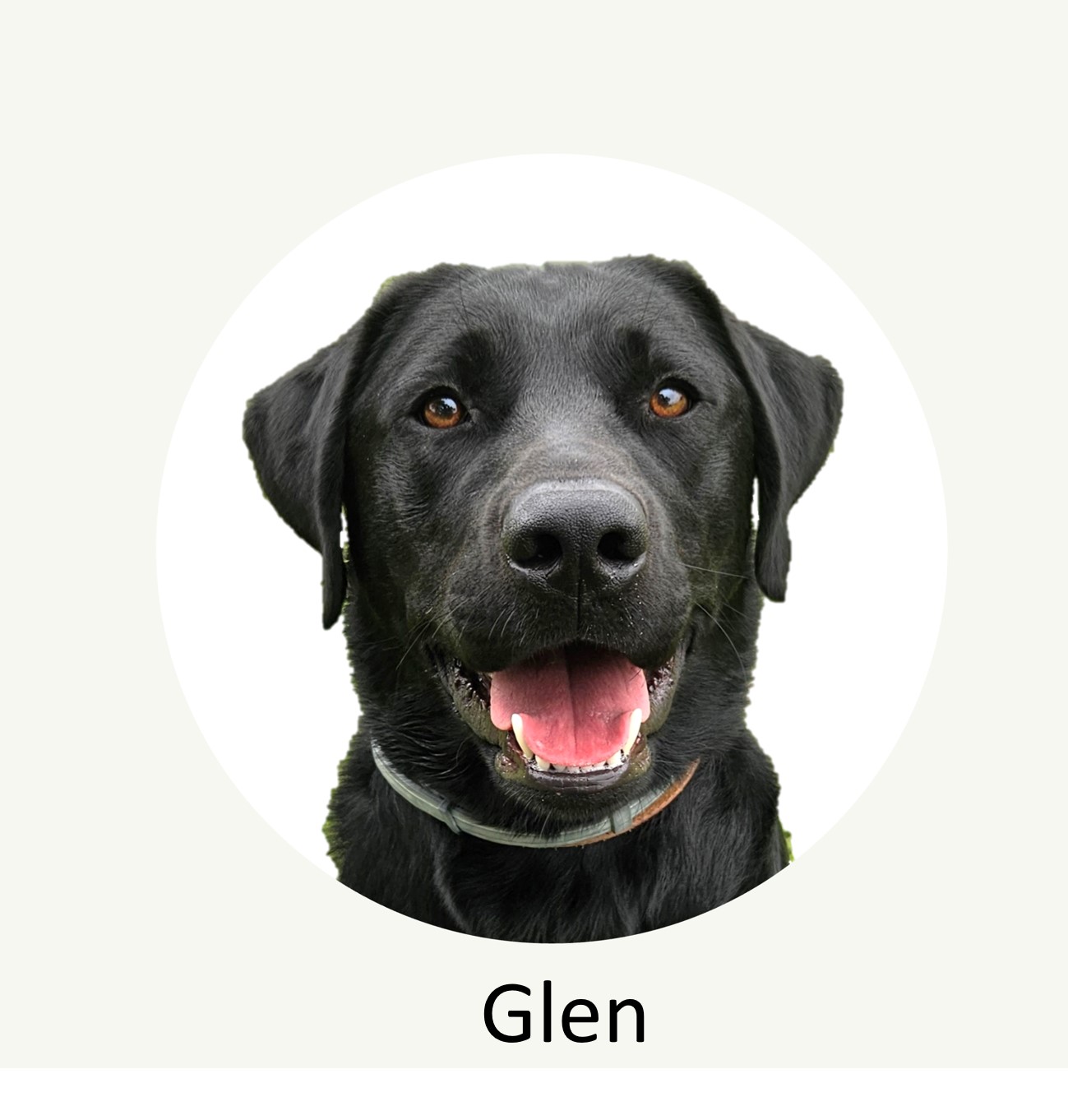 glen