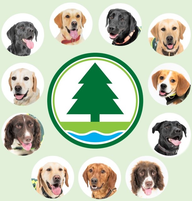 Agriculture, Fisheries and Conservation Department - Inspection & Quarantine - Import and Export of Animals and Animal Products - Quarantine Detector Dog Team Agriculture, Fisheries and Conservation Department - Inspection & Quarantine - Import and Export of Animals and Animal Products - Quarantine Detector Dog Team