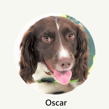 Oscar Profile
