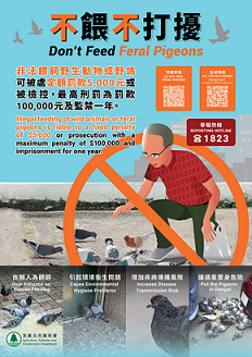 Don't Feed Feral Pigeons Poster